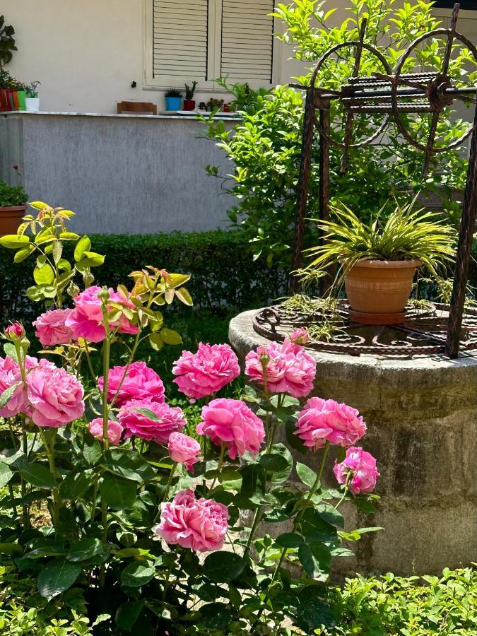 Js House Shkoder 1 Lejlighed Eksteriør billede