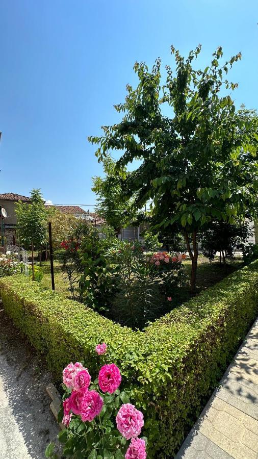 Js House Shkoder 1 Lejlighed Eksteriør billede